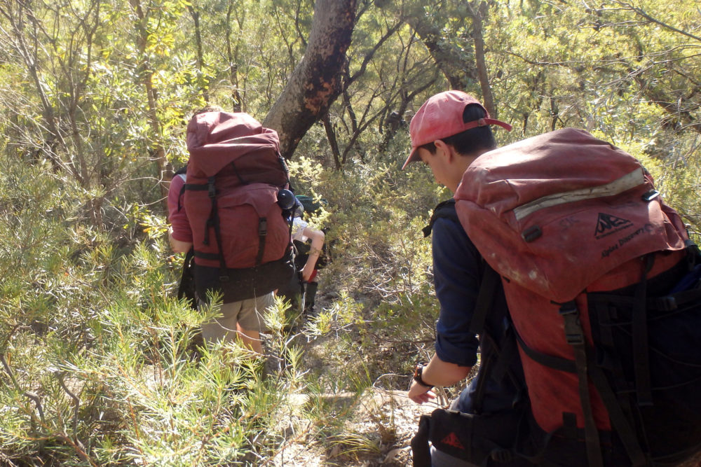 boys walking in bushland with backpacks