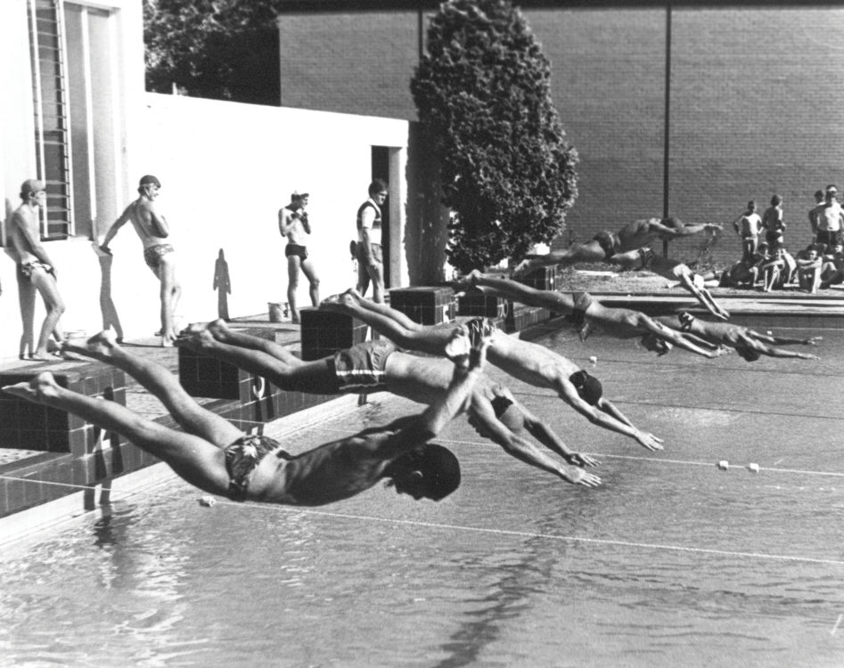 people diving into pool